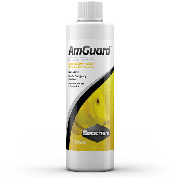 Seachem AmGuard 250 mL - ASAP Aquarium