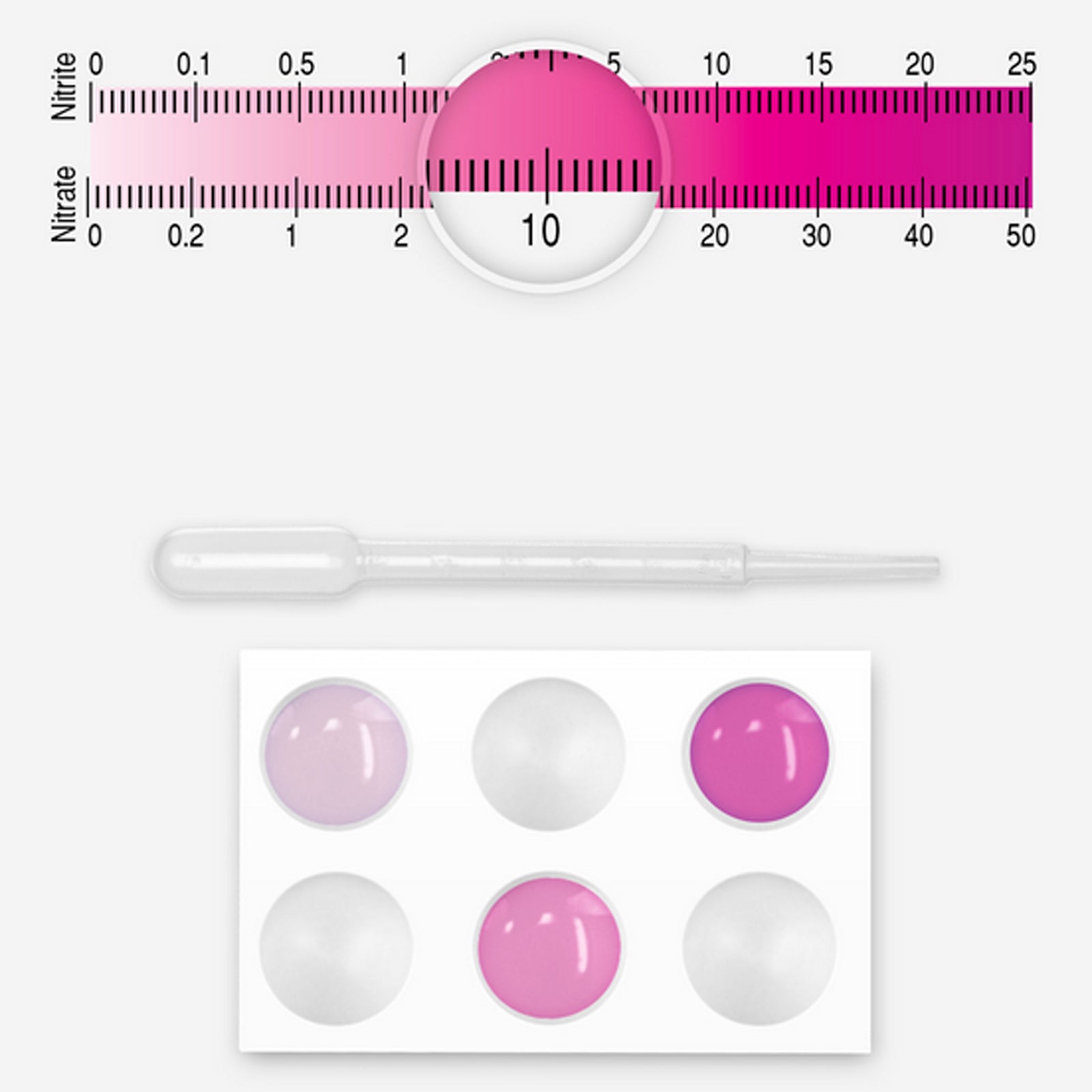 How you test Nitrites with the Sera GmbH Test Kit for aquariums and ponds 