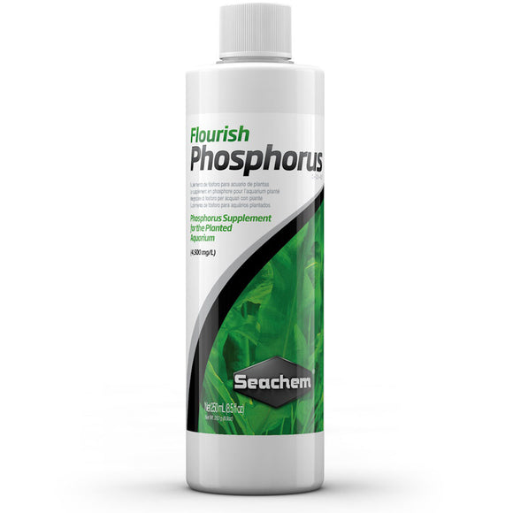 Seachem Flourish Phosphorus 250 mL - www.ASAP-Aquarium.com