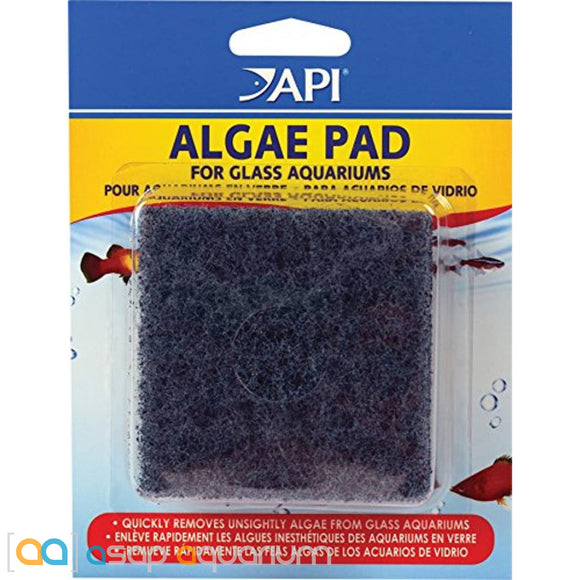 API Algae Pad For Glass Aquariums - ASAP Aquarium