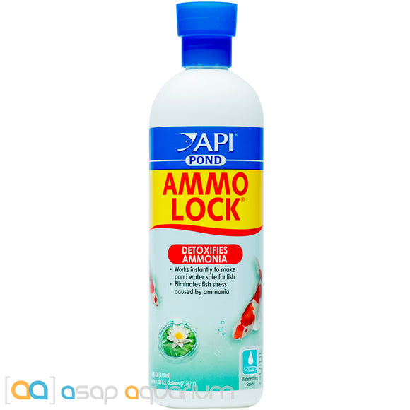 API Pond Ammo Lock 16oz. - ASAP Aquarium