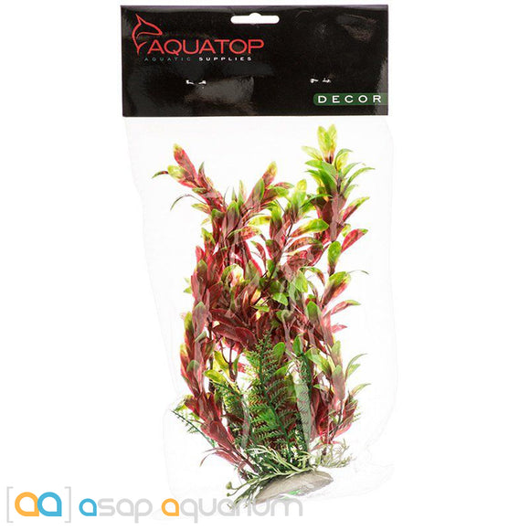 Aquatop Hygro Aquarium Plant Red & Green 6