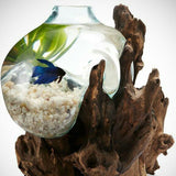 Betta Fish Bowl Unique Molten Glass on Teak Driftwood A110 - www.ASAP-Aquarium.com