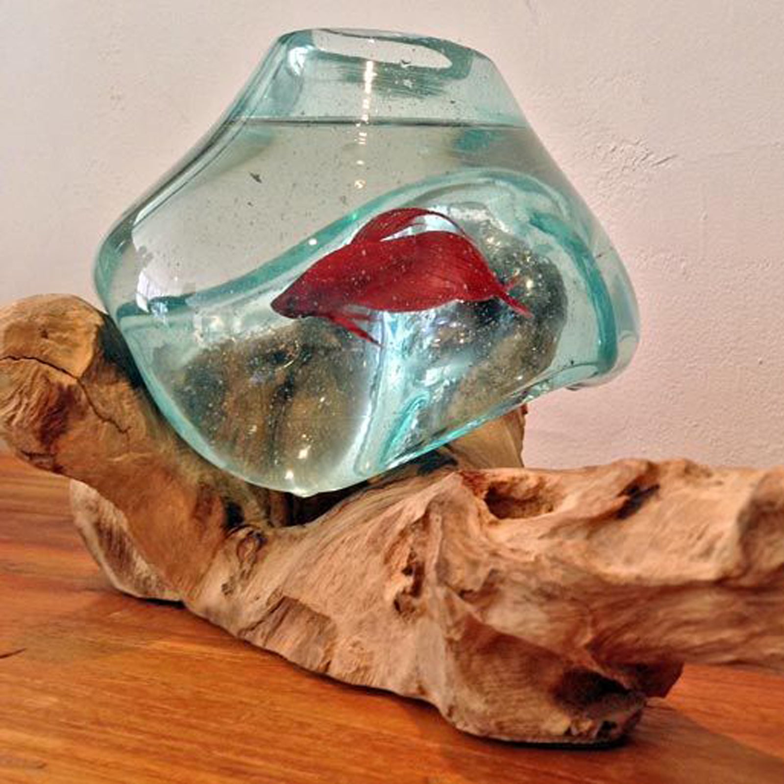 Betta Fish Bowl Unique Molten Glass on Teak Driftwood A110