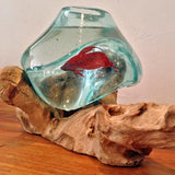 Betta Fish Bowl Unique Molten Glass on Teak Driftwood A110 - www.ASAP-Aquarium.com