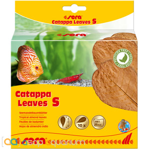 Sera Catappa Leaves Small 14cm 10 pieces - www.ASAP-Aquarium.com