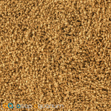 Sera Discus Granules Nature 1000mL - www.ASAP-Aquarium.com