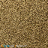 sera Discus ImmunPro Nature 100mL Growth Food For Discus - www.ASAP-Aquarium.com