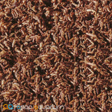 sera FD Bloodworms Freeze Dried Treats 100mL - www.ASAP-Aquarium.com